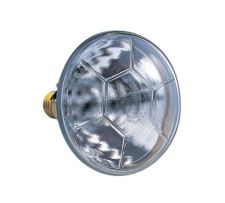 Лампа галогенная "PAR38", 120 Вт, 24 В