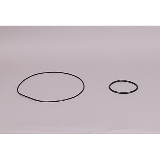 Уплотнительные кольца корпуса префильтра для насосов "Colorado", "Atlas" (2 шт)