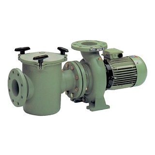 Насос "Aral C-3000" 72 м3/ч, 4 кВт, III, с префильтром, чугунный