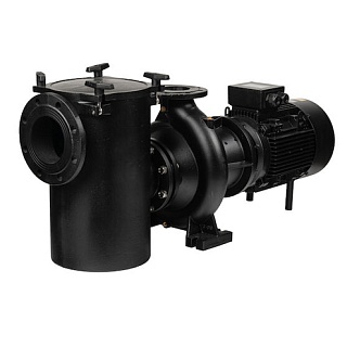 Насос "Aral Plus C-1500", 55 м3/ч, 3 кВт, 400/690В, с префильтром, чугунный