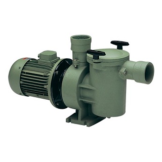 Насос "Aral SP-3000" 60 м3/ч, 4 кВт, III, с префильтром, бронзовый