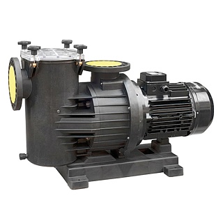 Насос "Saci Magnus-4 300", 43 м3/ч, 2.2 кВт (P2), 230/400В